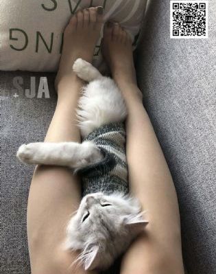 公公与儿媳在线播放_BD超清在线观看